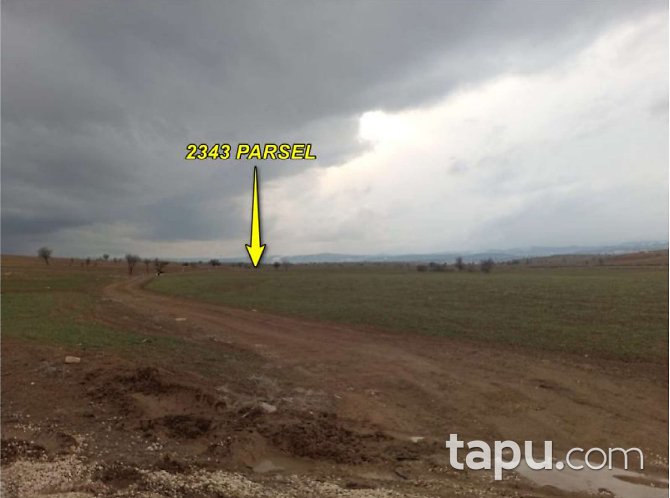 Afyon Dazkırı'da Yola Cepheli Tarla (1696)