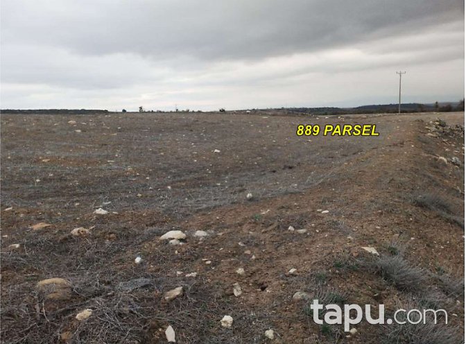 Afyonkarahisar Dazkırı'da 4 Dönüm Tarla (1698)