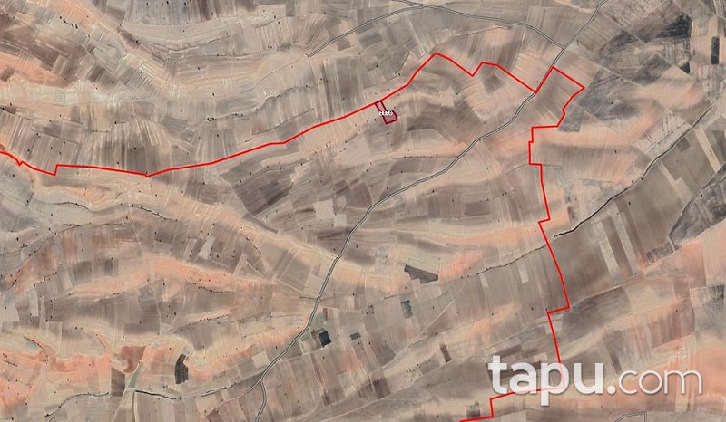 Afyonkarahisar Dazkırı Kızılören'de 8,5 Dönüm Tarla (1707)