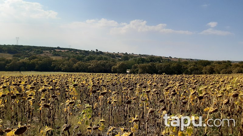 Tekirdağ Ergene Velimeşe'de 2910 m2 Tarla