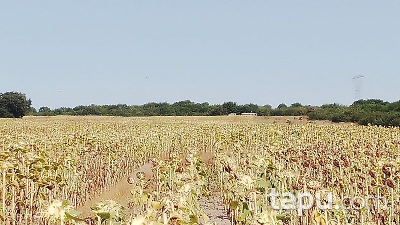 Tekirdağ Ergene Velimeşe'de 2910 m2 Tarla