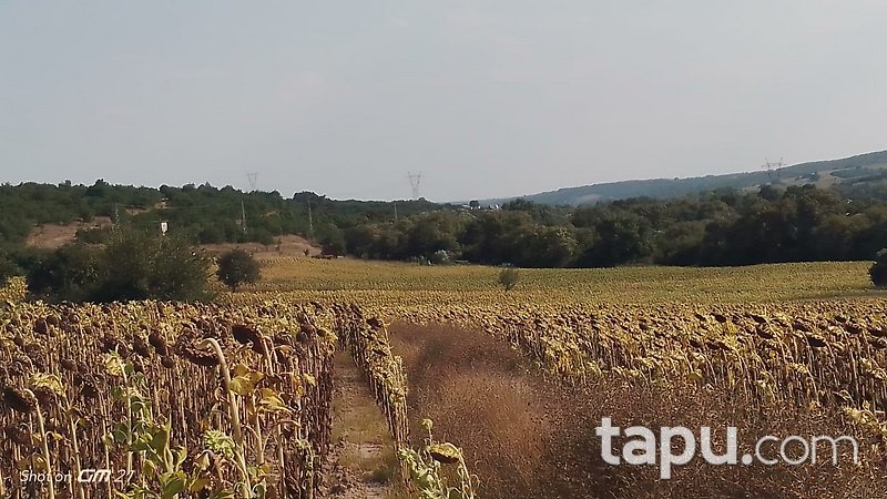 Tekirdağ Ergene Velimeşe'de 2910 m2 Tarla