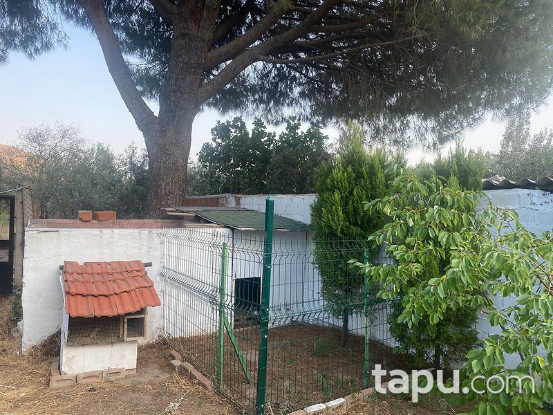 Manisa Akhisar Kayalıoğlu Mahallesi'nde %40 İmarlı Arsa ve Ev