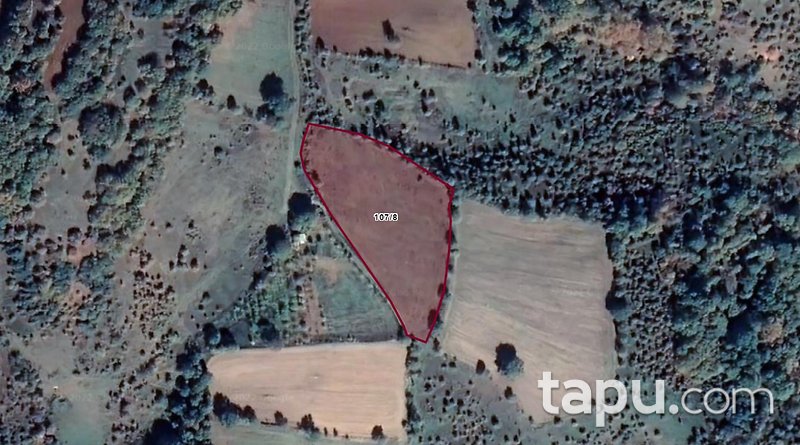 Balıkesir Kurucaoluk Köyünde 7.200 m2 Tarla