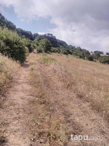 Balıkesir Kurucaoluk Köyünde 7.200 m2 Tarla