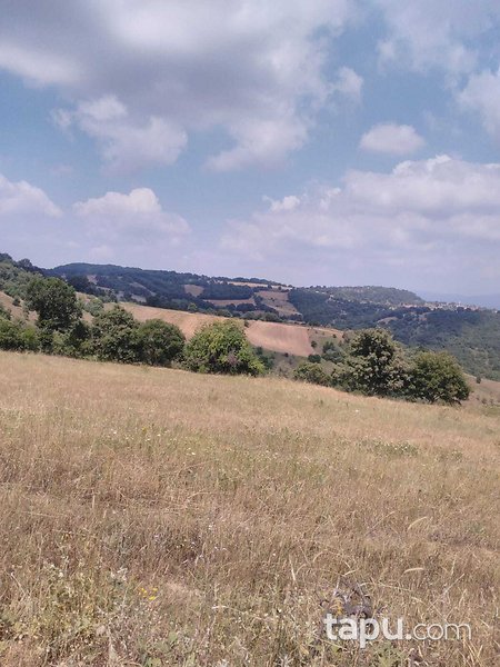 Balıkesir Kurucaoluk Köyünde 7.200 m2 Tarla