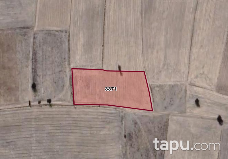 Afyon Dazkırı Kızılören Mahallesi'nde 5 Dönüm Tarla (1709)