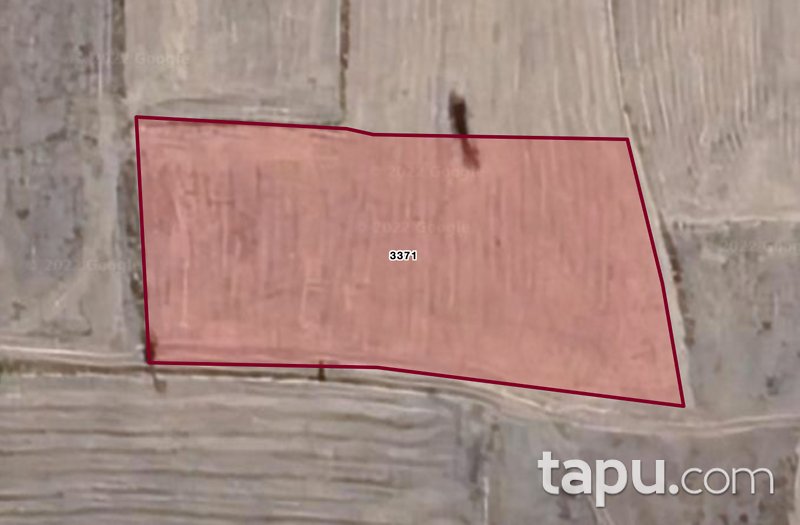 Afyon Dazkırı Kızılören Mahallesi'nde 5 Dönüm Tarla (1709)