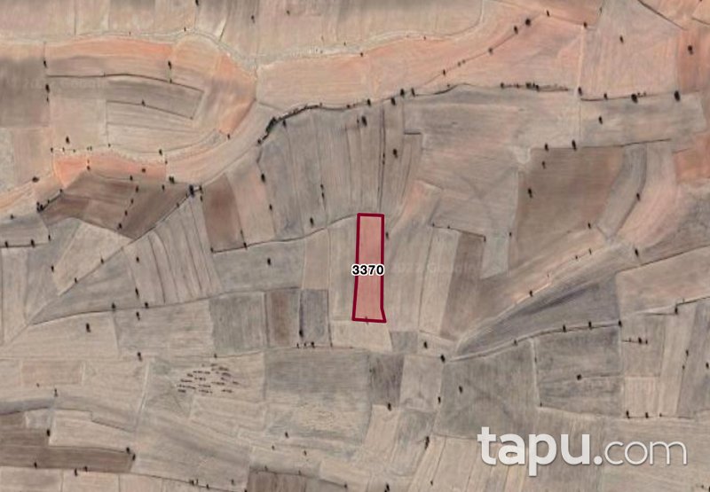 Afyon Dazkırı Kızılören Mahallesi'nde 10 Dönüm Tarla (1708)