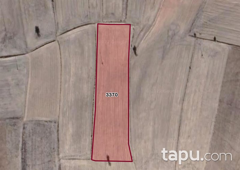 Afyon Dazkırı Kızılören Mahallesi'nde 10 Dönüm Tarla (1708)