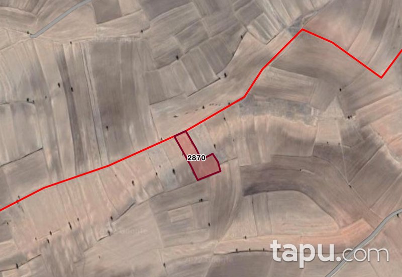 Afyonkarahisar Dazkırı Kızılören'de 8,5 Dönüm Tarla (1707)