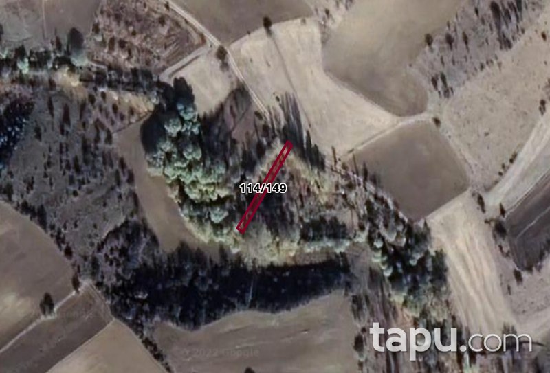 Çankırı Şabanözü 230 m2 Bahçe