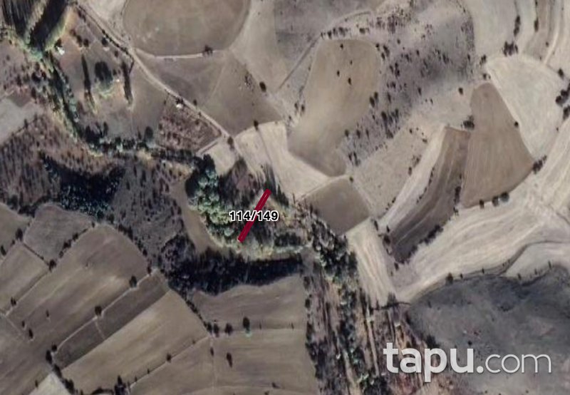 Çankırı Şabanözü 230 m2 Bahçe