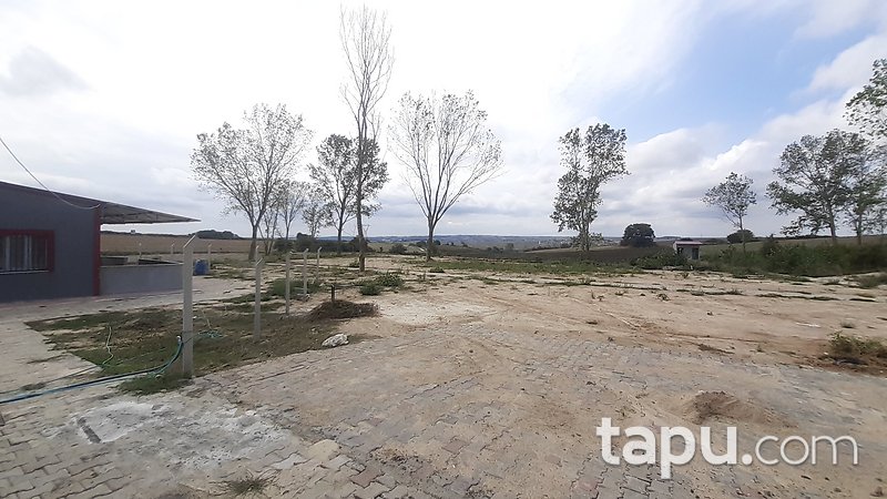 Çerkezköy'de İskânlı ve İşletme Ruhsatlı 12 Dönüm Çiftlik