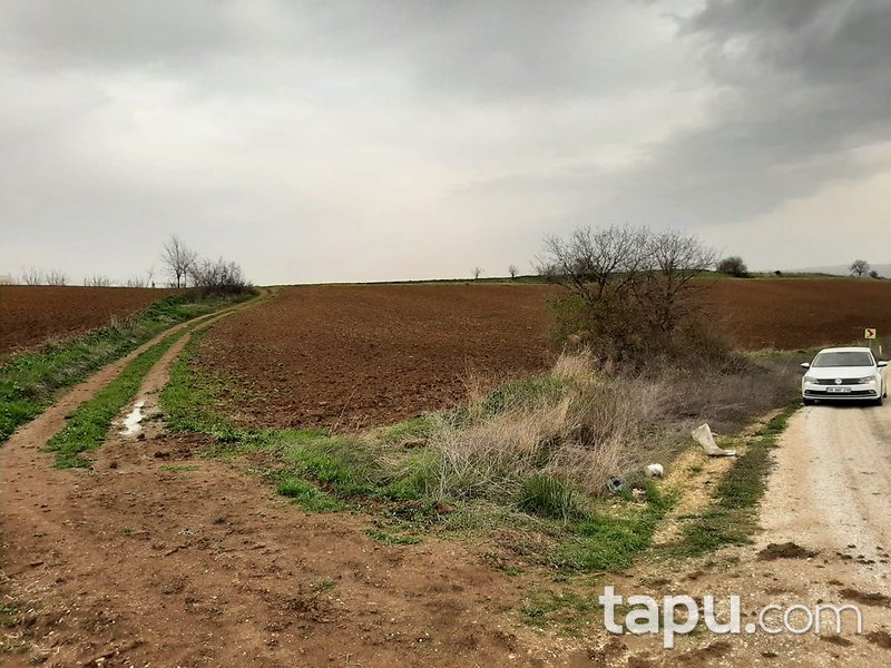 Bursa Yenişehir'de Yatırımlık 23 Dönüm Tarla