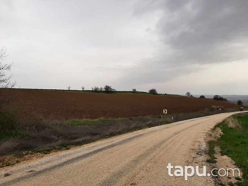 Bursa Yenişehir'de Yatırımlık 23 Dönüm Tarla