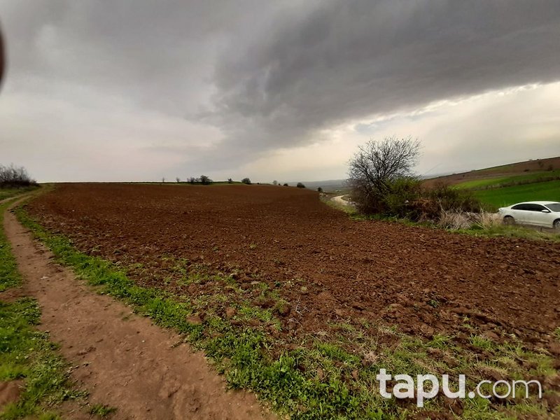 Bursa Yenişehir'de Yatırımlık 23 Dönüm Tarla