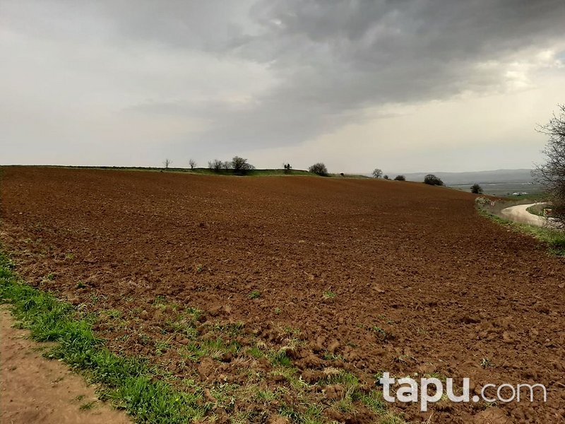 Bursa Yenişehir'de Yatırımlık 23 Dönüm Tarla