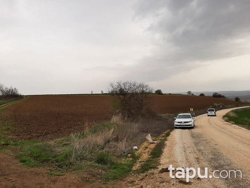 Bursa Yenişehir'de Yatırımlık 23 Dönüm Tarla