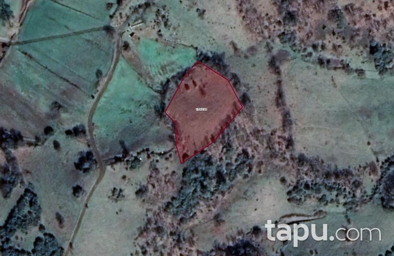 Çanakkale Yenice'de 2.993 m2 Tarla