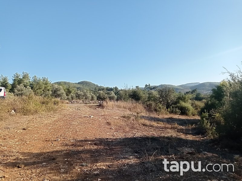 Karacahisar'da 6 Dönüm Tarla