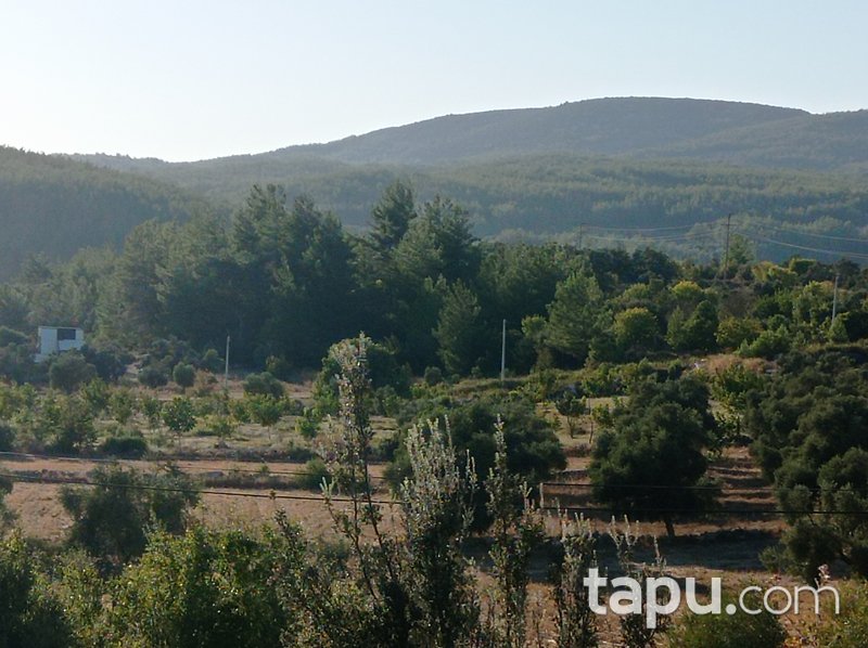 Karacahisar'da 6 Dönüm Tarla