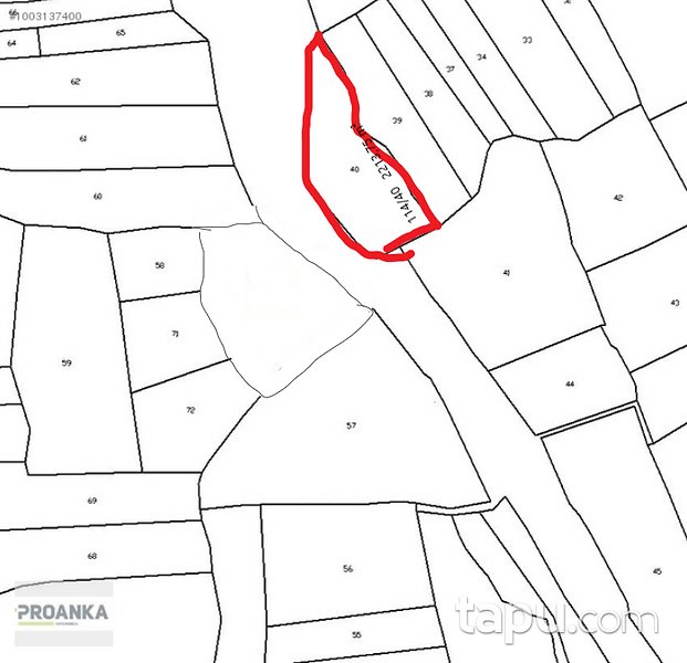 Milas Çökertme Mahallesi'nde 2213 m2 Tarla