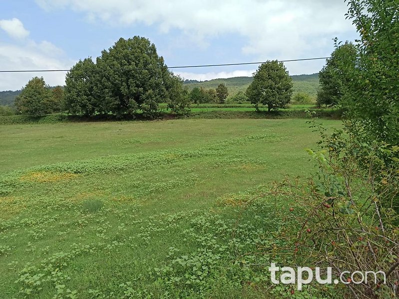 İnegöl İhsaniye'de Yatırımlık 10 Dönüm Tarla