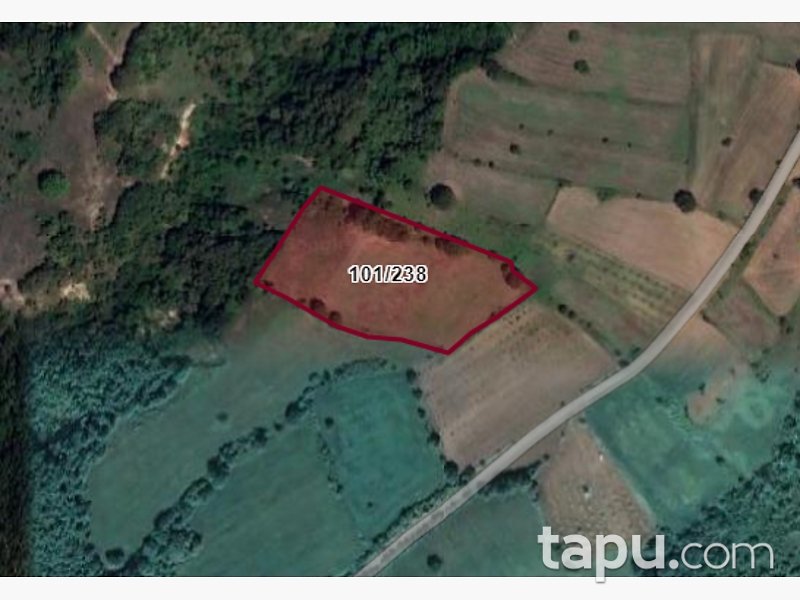 İnegöl İhsaniye'de Yatırımlık 10 Dönüm Tarla