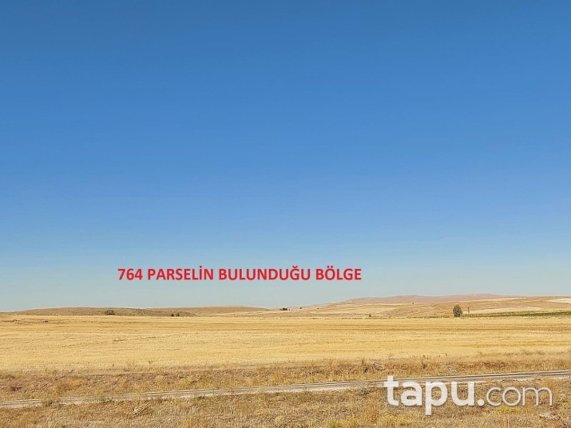 Emirgazi Besci Mahallesi'nde Yatırımlık 28 Dönüm Tarla