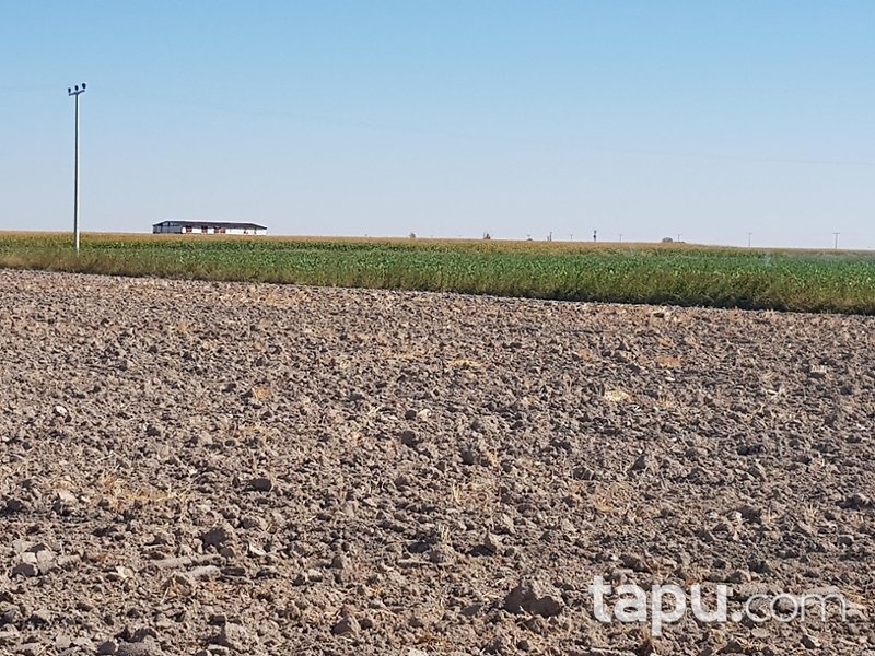 Çumra Büyükaşlama'da Yatırımlık Hisseli 47 Dönüm Tarla