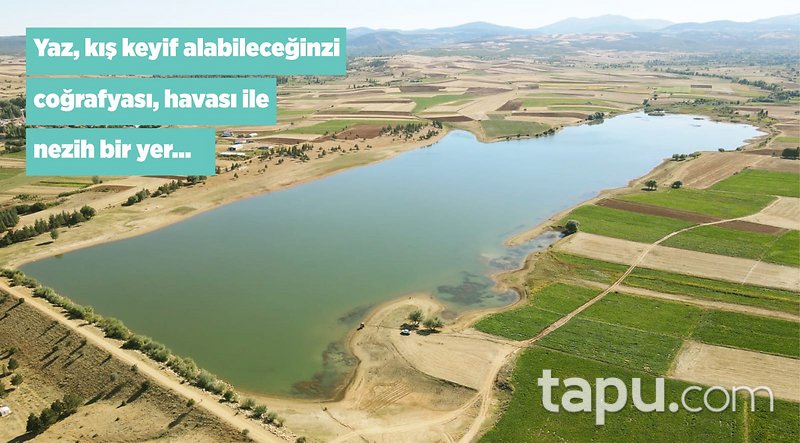 Konya Doğanhisar Yazlıca Mahallesi'nde 3.728 m2 Tarla