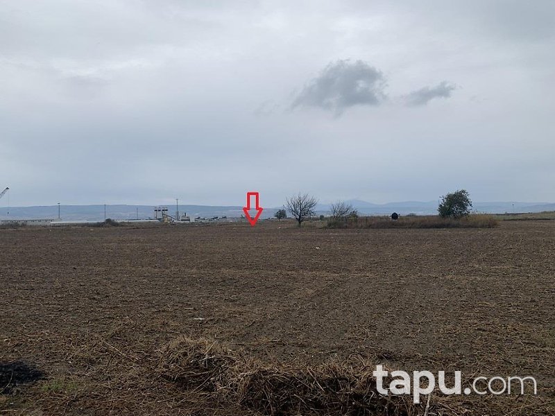 Gelibolu Sütlüce'de Hisseli İmarlı Arsa