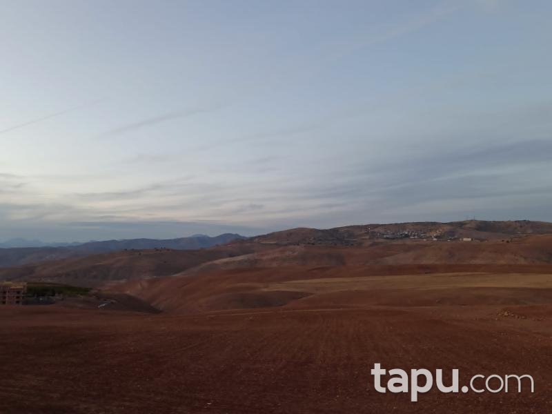 Siirt Merkez Kooperatif Mahallesi'nde 773 m2 İmarlı Arsa