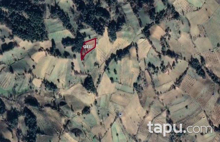 Manisa Gördes Çiçekli Mahallesinde Yatırımlık 4 Dönüm Tarla