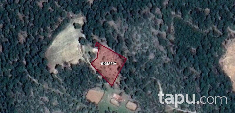 Balıkesir Dursunbey Beyce Köye Yakın Yatırımlık Tarla