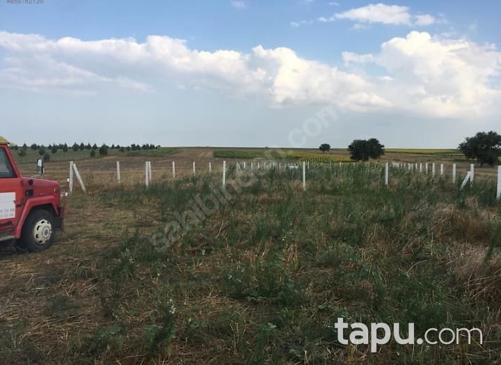 Tekirdağ Ergene Ahimehmet Hisseli Yatırımlık Tarla
