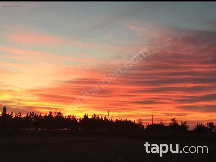 Tekirdağ Ergene Ahimehmet Hisseli Yatırımlık Tarla