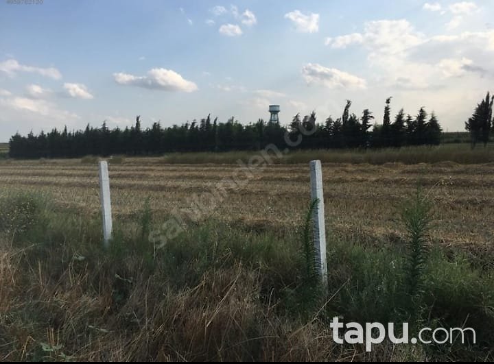 Tekirdağ Ergene Ahimehmet Hisseli Yatırımlık Tarla