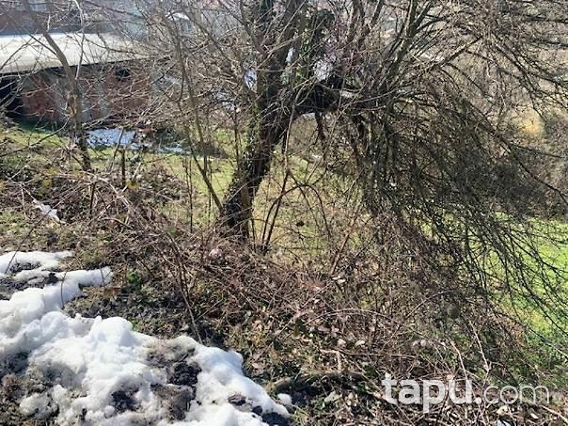 Zonguldak Ereğli Alacabük Mahallesi'nde Tek Katlı Kagir Ev Ve Samanlık Ve Bahçesi
