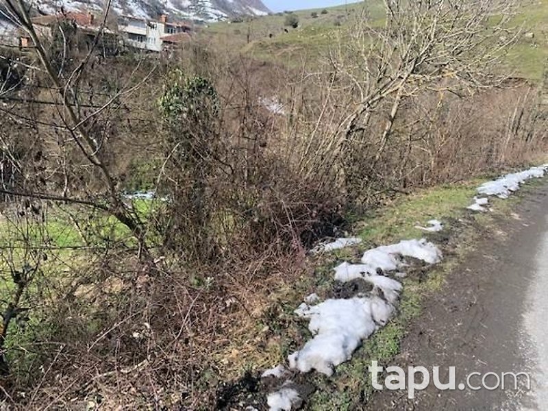 Zonguldak Ereğli Alacabük Mahallesi'nde Tek Katlı Kagir Ev Ve Samanlık Ve Bahçesi