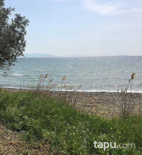 Şarköy Mürefte'de Limana Yakın 210 m2 Arsa