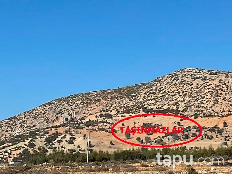 Antalya Elmalı Kışlaköy'de 29 Dönüm Tarla