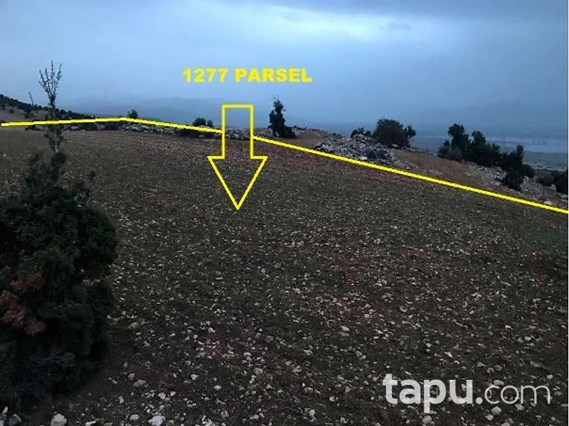 Antalya Elmalı Kışlaköy'de 29 Dönüm Tarla