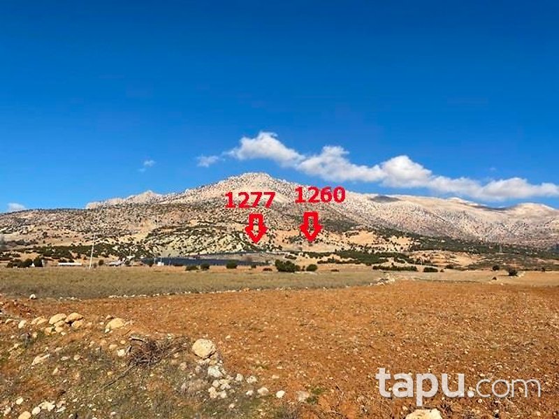 Antalya Elmalı Kışlaköy'de 29 Dönüm Tarla