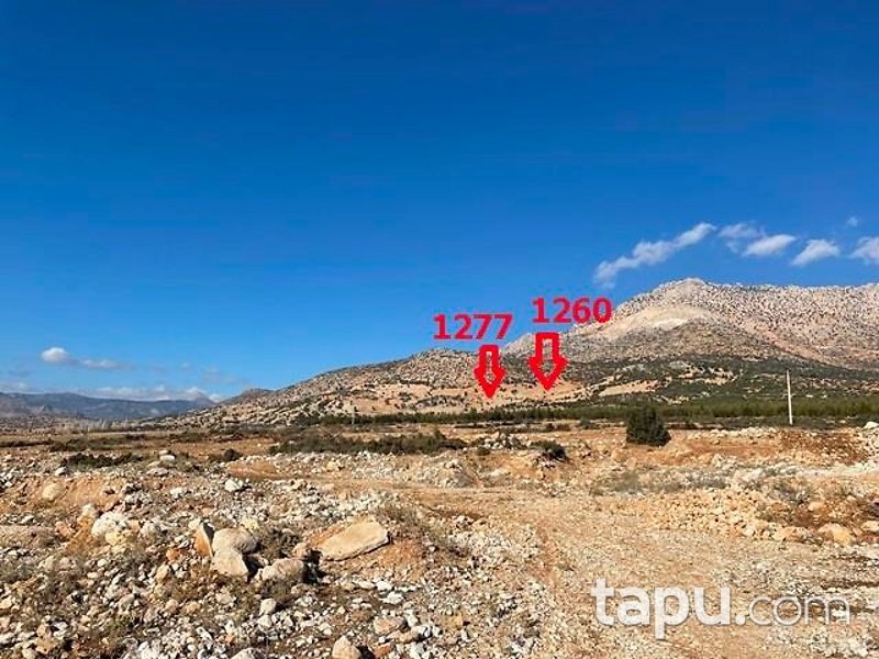 Antalya Elmalı Kışlaköy'de 29 Dönüm Tarla