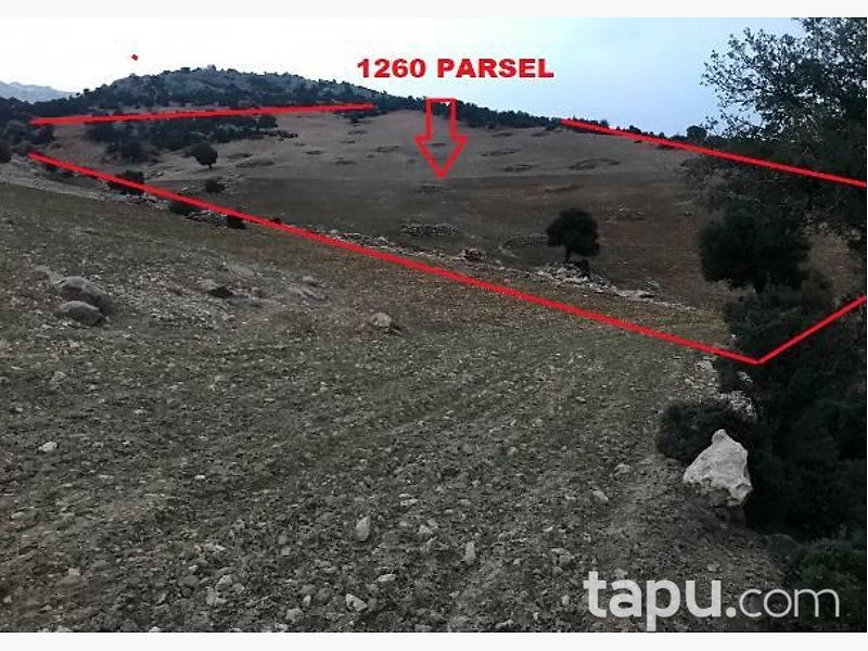 Antalya Elmalı Kışlaköy'de 29 Dönüm Tarla