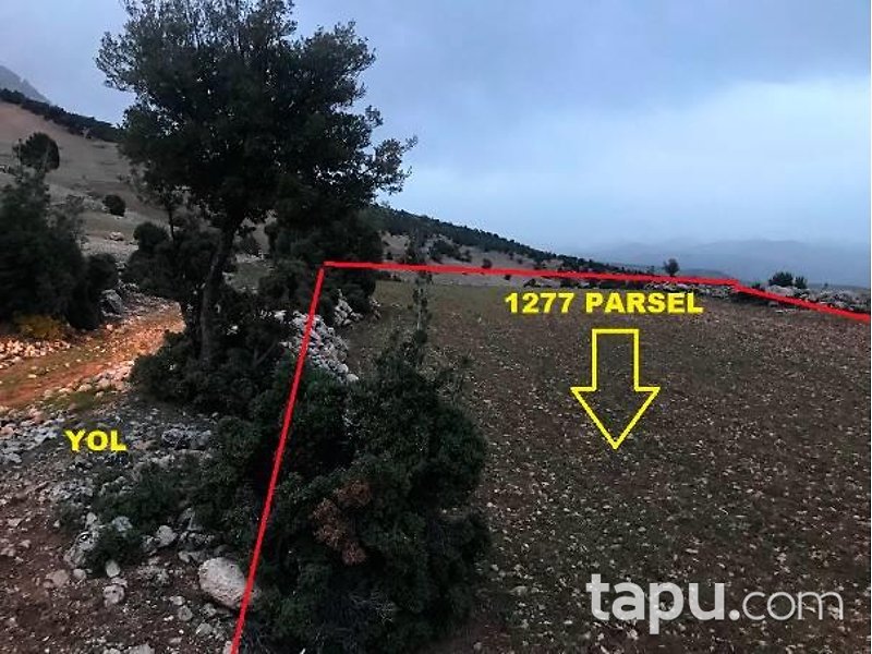 Antalya Elmalı Kışlaköy'de 29 Dönüm Tarla