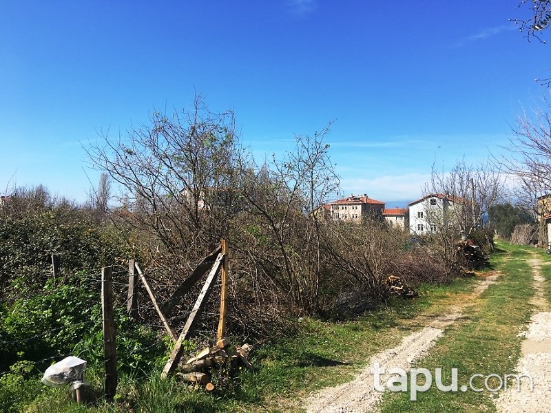Kastamonu Cide Kumluca Mahallesi'nde 2 Kat İmarlı Arsa