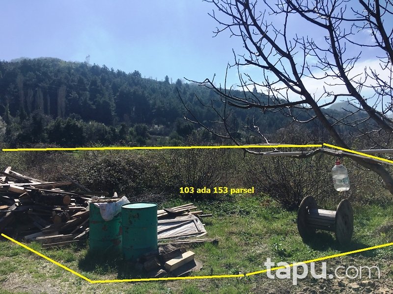 Kastamonu Cide Kumluca Mahallesi'nde 2 Kat İmarlı Arsa